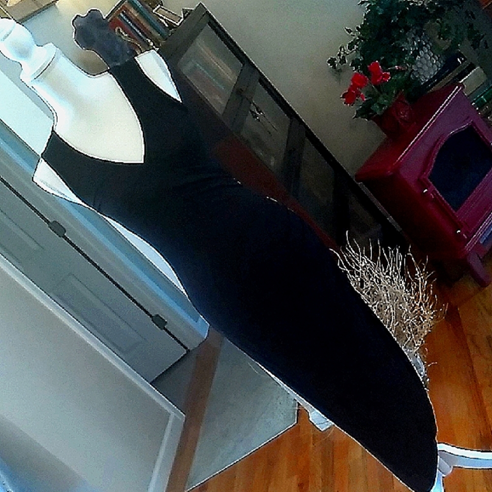 Elegant Black Bodycon  Sleeveless Dress